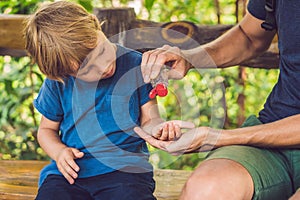 Father and son using wash hand sanitizer gel in the park before a snack