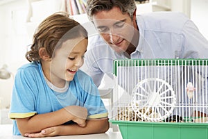 Father And Son Watching Pet Hamster