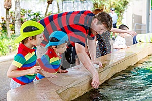 Father and two little kid boys feeding rays in a recreation area