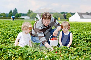 Father and two little kid boys on strawberry farm in summer