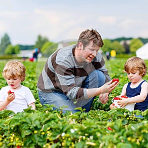 Father and two little kid boys on strawberry farm in summer