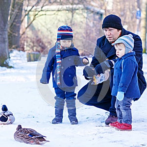 Father and two little siblings boys feeding ducks in winter.