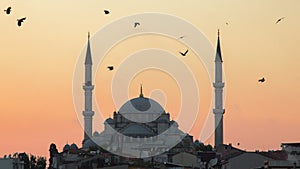 Fatih Camii Conqueror`s Mosque in Istanbul, Turkey. Dusk, Birds fly in silhouettes.