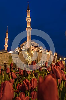 Fatih Mosque, Istanbul, Turkey