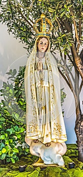 Fatima Mary Statue Mission Nombre Dios Saint Augustine Florida photo