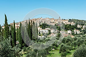 Fattona Le Pupille on a hill with two rows of, Italian Cypress tree