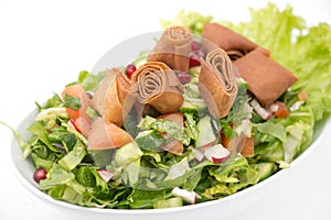 Fattoush Salad , Lebanese salad