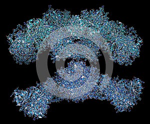 Fatty acid synthase (FAS) enzyme. Responsible for the synthesis of fatty acids