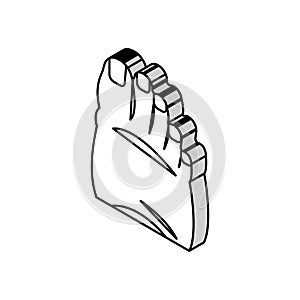 fatty foot edema isometric icon vector illustration