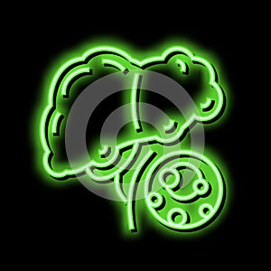 fatty liver dystrophy disease neon glow icon illustration