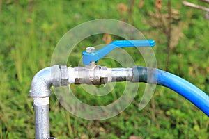 Faucet connected with blue rubber hose. Activate to water the plants