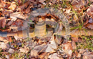 Faucet on the pipe for water supply. Pipeline on the ground to supply irrigation water. Autumn. Yellow fallen leaves on the pipe