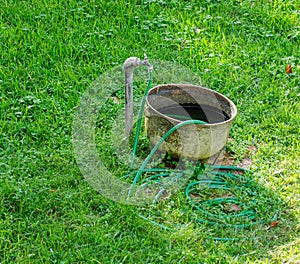 Faucet, tub and garden hose on lawn