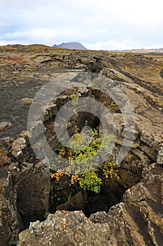 The fault that marks the continental separation in plate tectonics between Europe and America, above Grjotagja cave, Iceland.