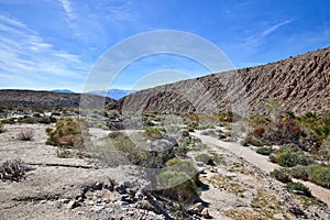 Fault Zone at Thousand Palms photo
