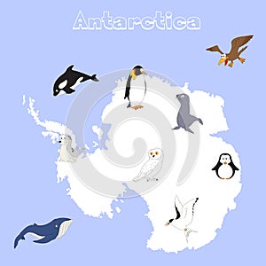 Fauna of Antarctica. Set of cartoon polar animals for babies and