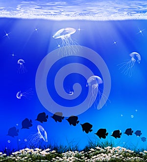 Fauna undersea