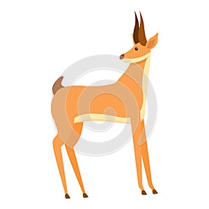 Faune gazelle icon, cartoon style photo