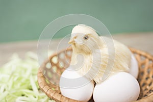 Faux Chick sits on eggs in a basket