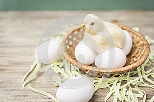 Faux chick sits on eggs in a wicker basket, near eggs lay