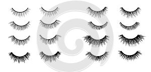 Faux lashes set isolated on white background, Vector illustration