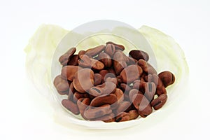 Fava beans in cabage leaf
