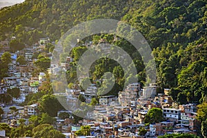 Favela between the vegetation