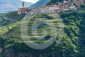 Faver village with green vineyards - Trentino Alto Adige Italy