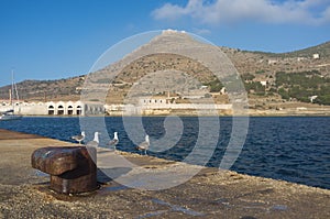 Favignana Island