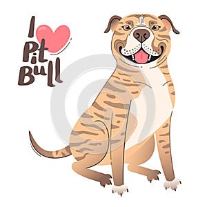 Fawn brindle brown American Staffordshire Pit Bull Terrier. I love pitbull. Vector illustration photo