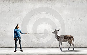 Fawn on lead