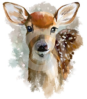 Fawn watercolor painting