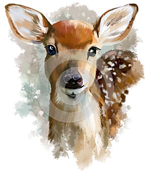 Fawn watercolor painting photo