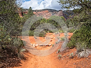 Fay Canyon Trail, Sedona, Arizona photo