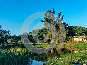 Beautiful artificial lake, on a farm, with lots of vegetation and some buildings around it, located in the countryside. photo
