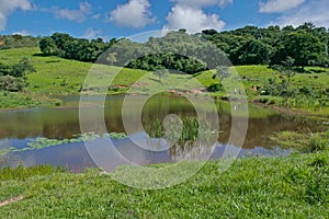 Farm, with lots of vegetation and old corral, forming a beautiful landscape, located in a rural region. photo