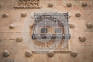 FaÃ§ade Casa de las Conchas in Salamanca