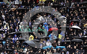 FC Dynamo Kyiv supporters