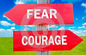 Fear and Courage