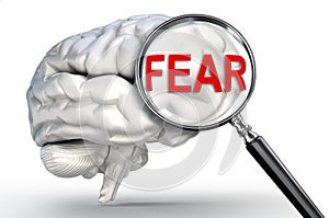 Fear word on magnifying glass and human brain