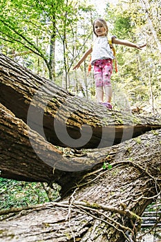 Fearless little girl scout standing on a fallen log in the woods