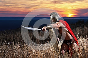 Fearless young Spartan warrior posing in the field
