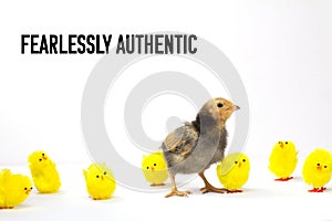 Fearlessly Authentic text, be authentic, leadership, concept