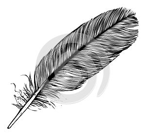 Feather