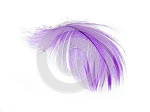 Feather