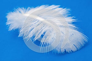 Feather