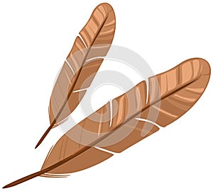 Feather