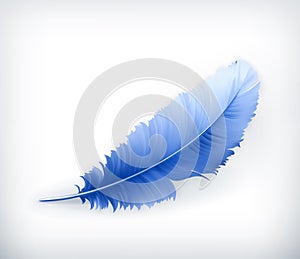 Feather