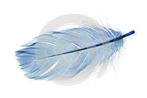 Feather