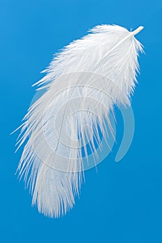 Feather